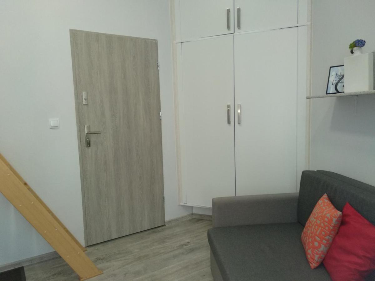 פז'מיסל Studio W Sercu Miasta מראה חיצוני תמונה